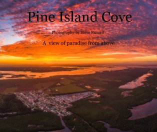 Pine Island Cove book cover