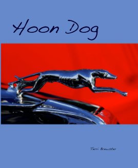 Hoon Dog book cover