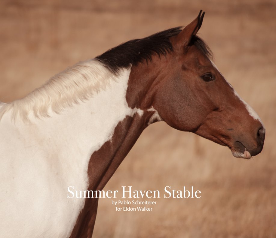 View Summer Haven Stables by Pablo Schreiterer