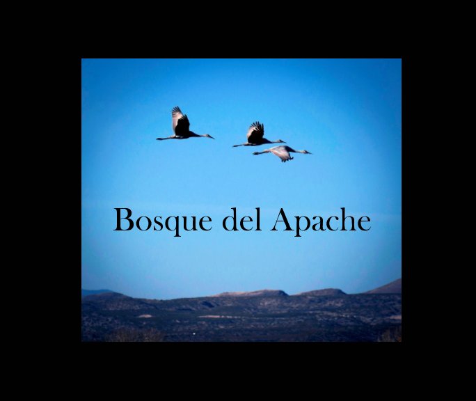View Bosque del Apache by Ginna Fleming