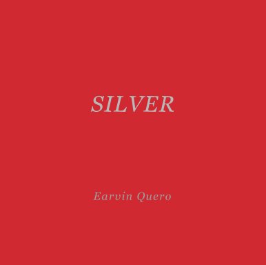 silver book cover