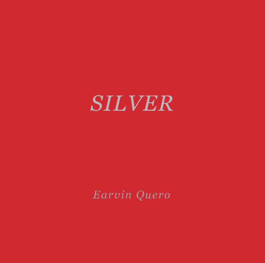 View silver by Earvin Quero