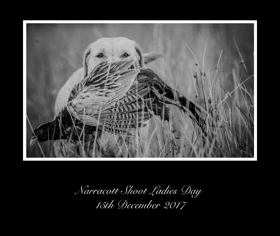 View Narracott Shoot Ladies Day 15th December 2017 by Dean Mortimer