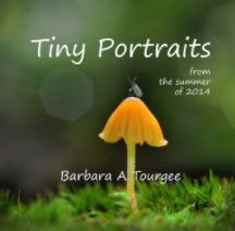 Tiny Portraits book cover