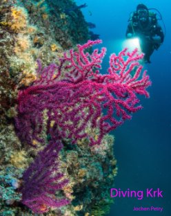 Diving Krk book cover