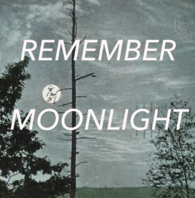 Remember Moonlight book cover