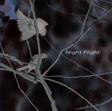 Night Flight book cover