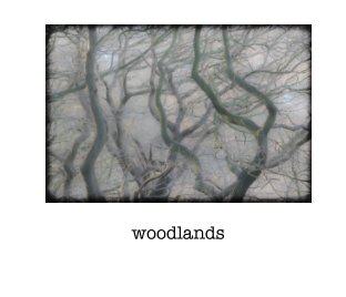 woodland book cover