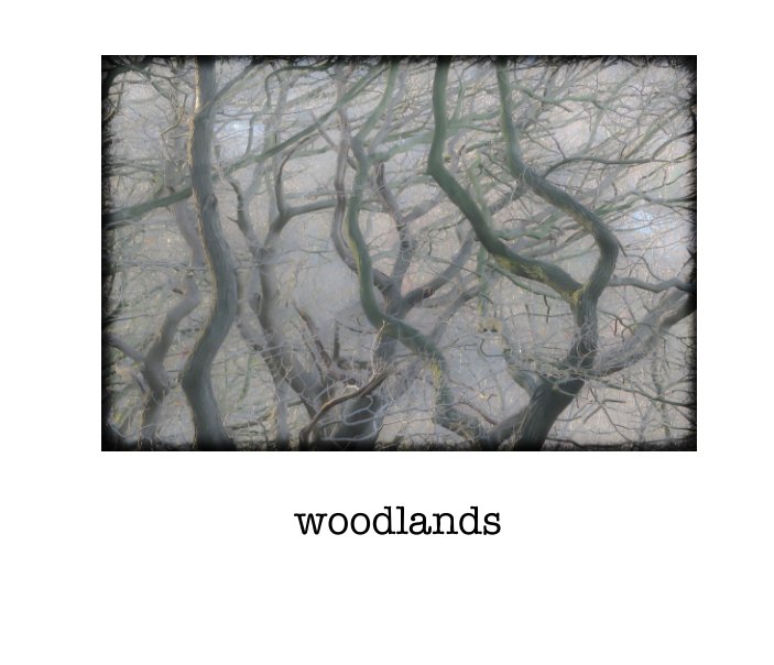 Visualizza woodland di Trevor Pollard