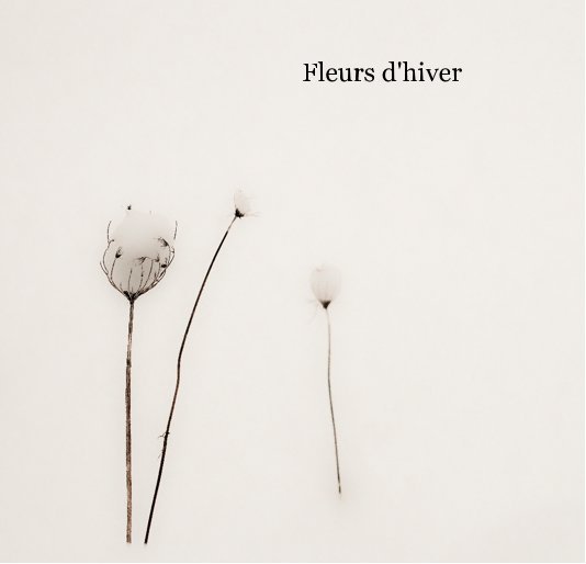 View Fleurs d'hiver by Madeleine Bourgeois