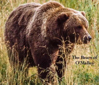 The Bears of O'Malley book cover
