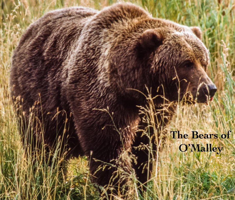 View The Bears of O'Malley by J. Lundblad