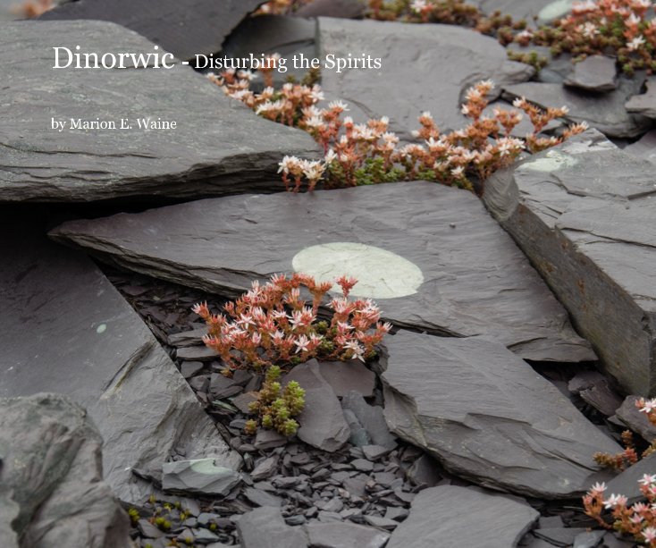 View Dinorwic - Disturbing the Spirits by Marion E. Waine