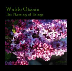 Waldo Oiseau: The Naming of Things book cover