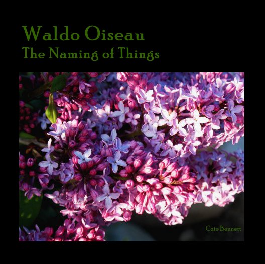 View Waldo Oiseau: The Naming of Things by Cate Bennett