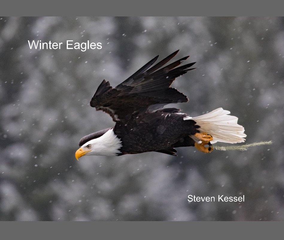 View Winter Eagles by Steven Kessel