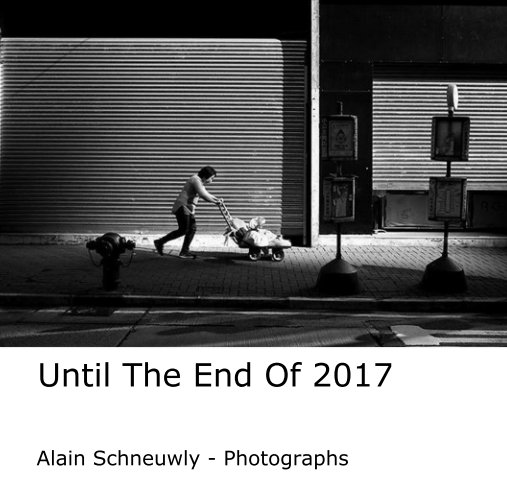 View Until The End Of 2017 by Alain Schneuwly