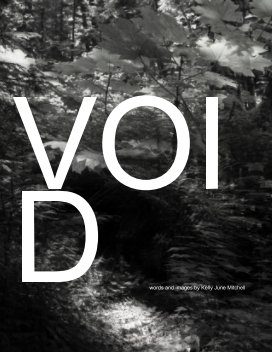 VOID book cover