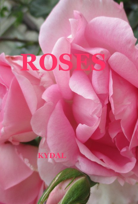 View Roses by KYDAL