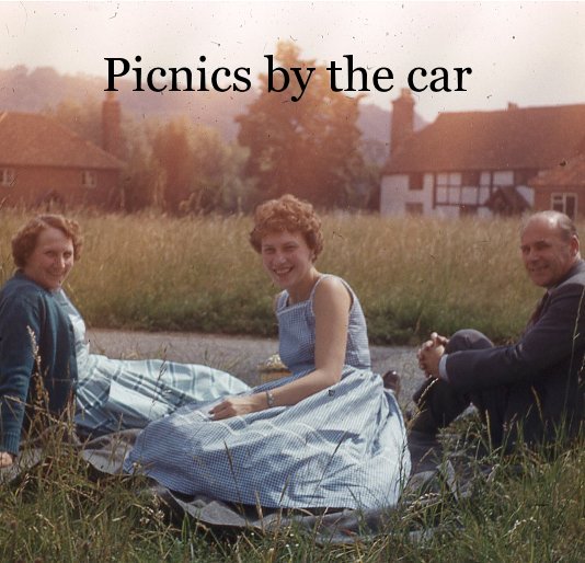 View Picnics by the car by Jonathan Worth