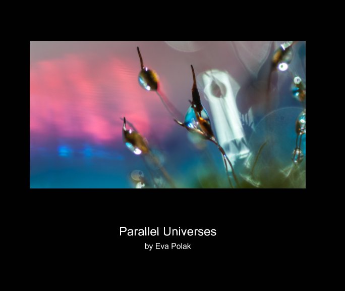 Visualizza Parallel Universes di Eva Polak
