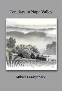 Ten days in Napa Valley book cover