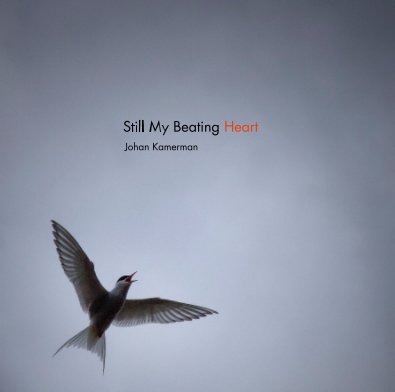 Still My Beating Heart book cover