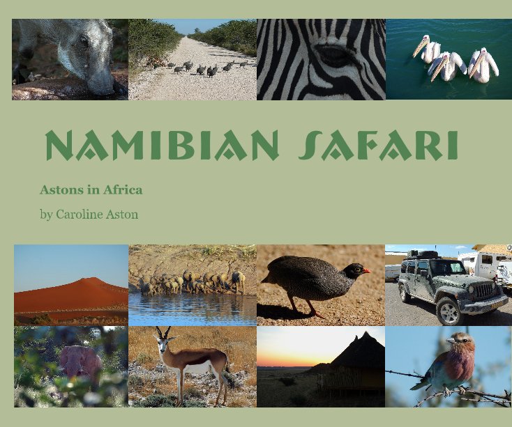 View Namibian Safari by Caroline Aston
