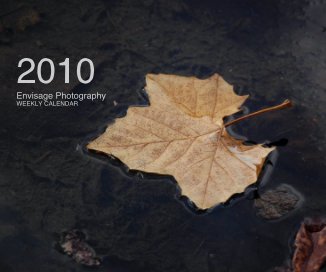 2010 Envisage Photography WEEKLY CALENDAR book cover