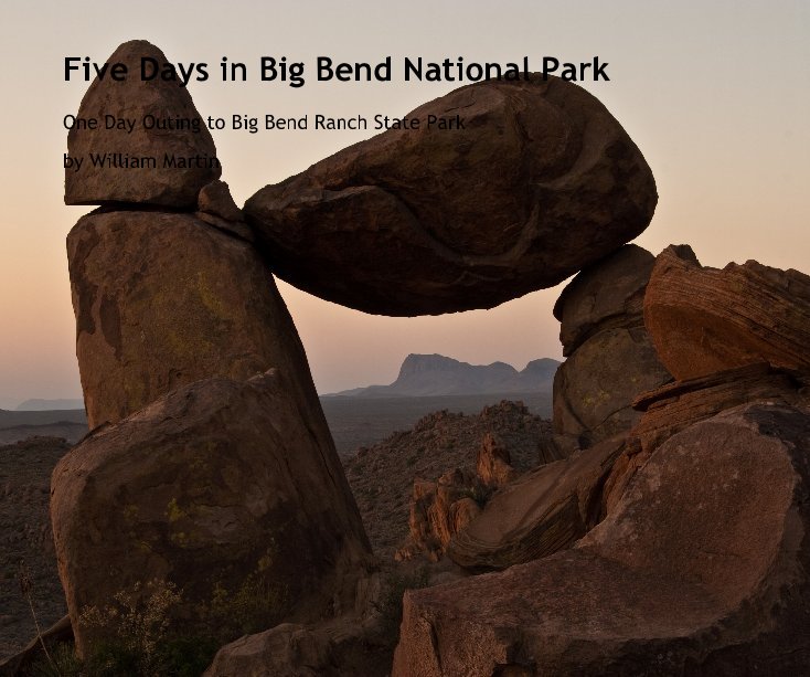 Ver Five Days in Big Bend National Park por William Martin