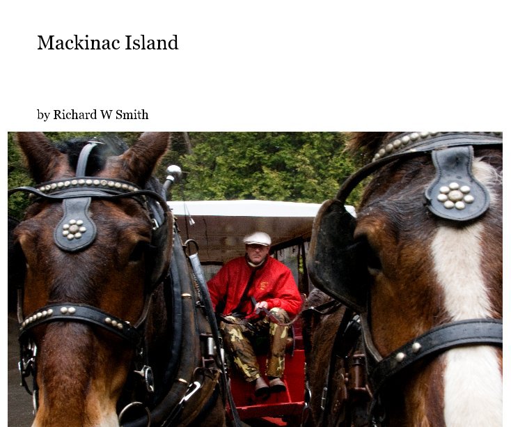 View Mackinac Island by Richard W Smith