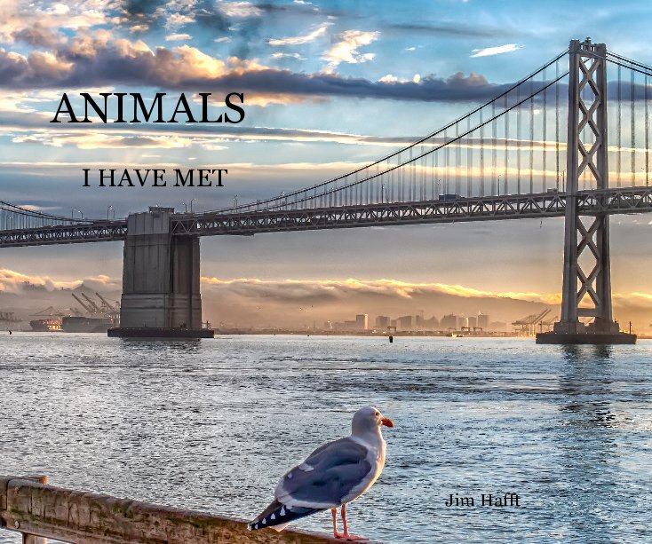 Visualizza Animals di Jim Hafft