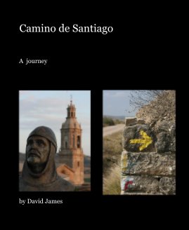 Camino de Santiago book cover