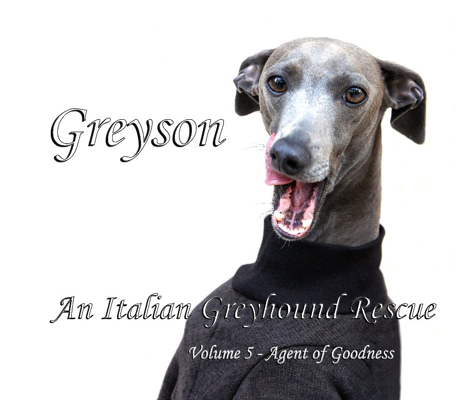 View Greyson An Italian Greyhound Rescue by William Pelander