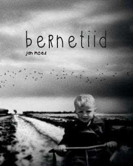 Bernetiid book cover