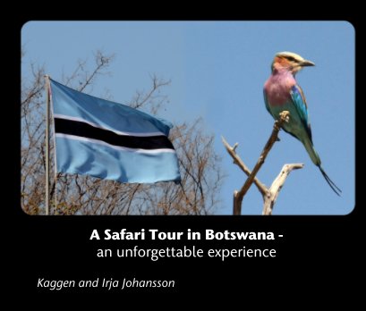 A Safari Tour in Botswana book cover