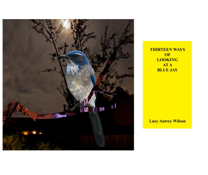 View Thirteen Ways of Looking at a Blue Jay by Lucy Autrey Wilson