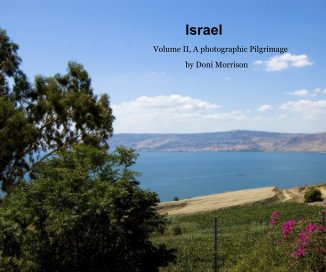 Israel book cover