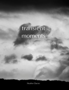 Transient Moments book cover