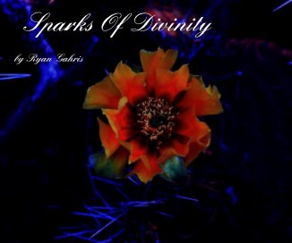 Sparks Of Divinity book cover