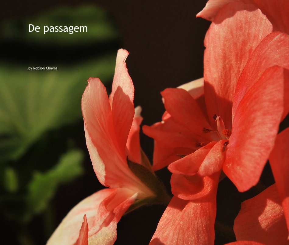 View De passagem by Robson Chaves
