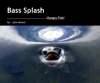 Bass Splash book cover