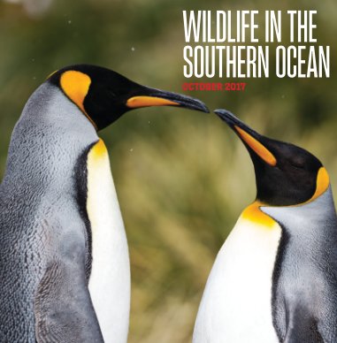 FRAM_29 OCT-15 NOV 2017_WILDLIFE IN THE SOUTH ATLANTIC OCEAN book cover