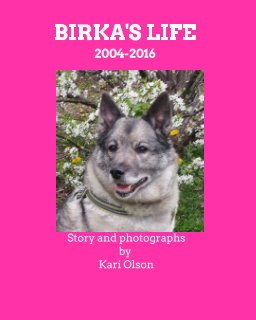 Birka's Life book cover