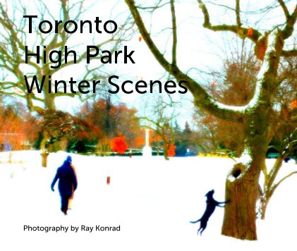 Toronto High Park Winter Scenes book cover