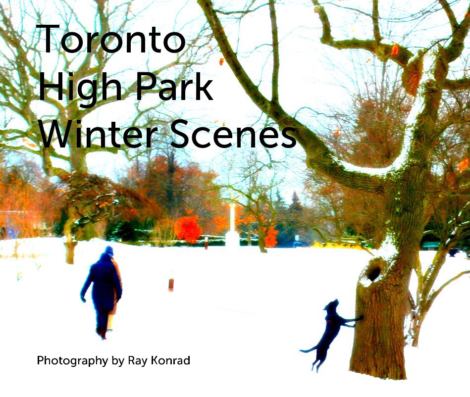 View Toronto High Park Winter Scenes by Ray Konrad