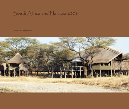 South Africa and Namibia 2008 book cover