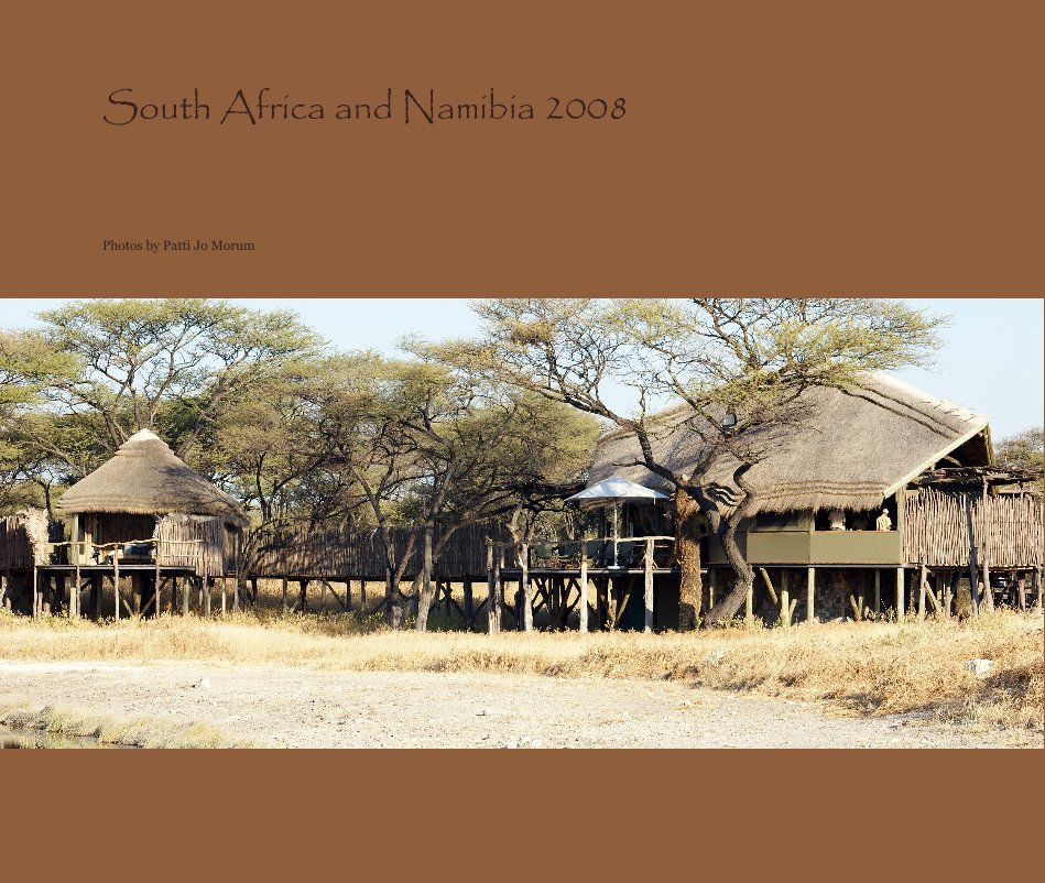 Ver South Africa and Namibia 2008 por Photos by Patti Jo Morum