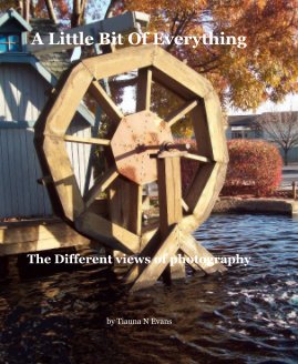 A Little Bit Of Everything book cover