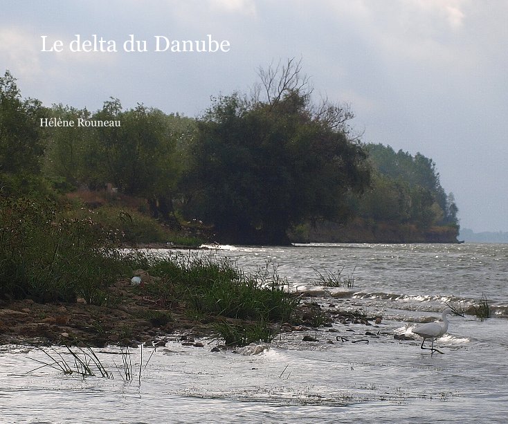 View Le delta du Danube by Hélène Rouneau